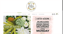 Desktop Screenshot of budsonbuderim.com.au